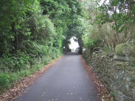 A perfect example of Isle of Man roads - very narrow and lined with stone fences