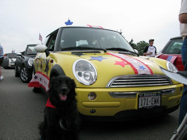Bessie and Tosh, ready to spread their patriotic cheer.