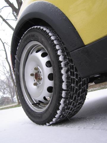 Bessie in her winter trends.