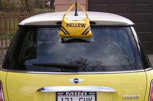 Bessie get accessorized!