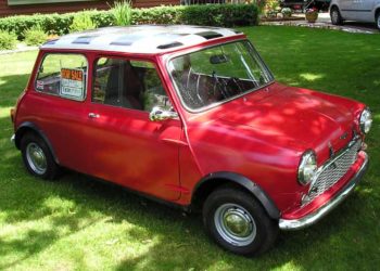 A new friend for Bessie? Probably not...