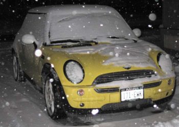 Snow, Icicles, and Bessie - oh my!