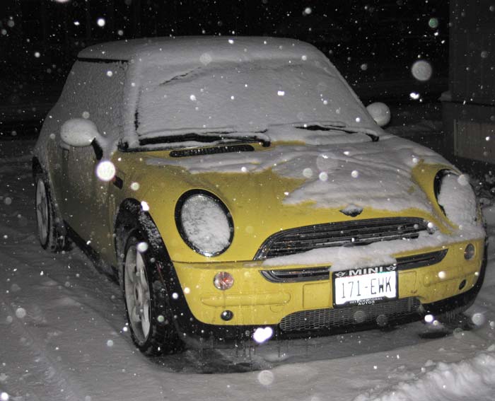 Snow, Icicles, and Bessie - oh my!