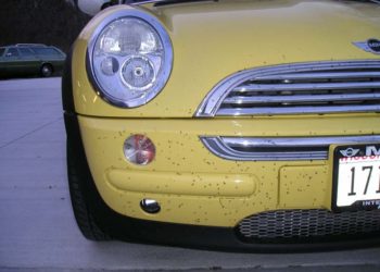 That isn t a five o clock shadow.