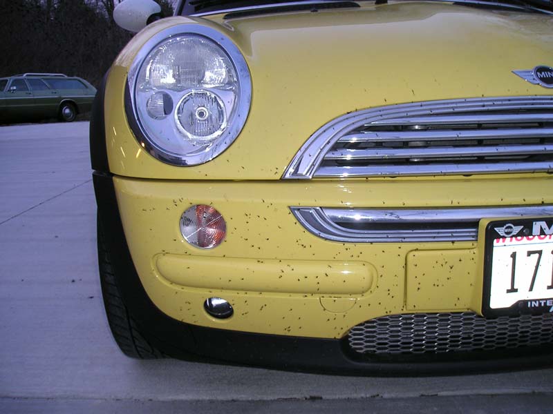 That isn t a five o clock shadow.