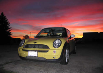 Bessie with the many colors of the sunset.
