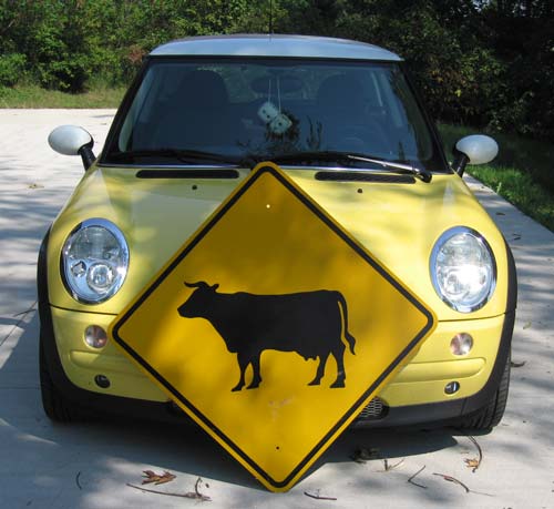 Super Cow! and Bessie.
