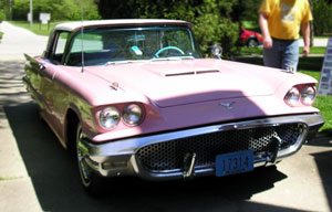 Bessie gets a new friend, a pink Thunderbird