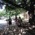 Walking down the streets of Austin. Walking down the streets of Austin.