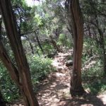 On the way to the Twin Falls of Austin. On the way to the Twin Falls of Austin.