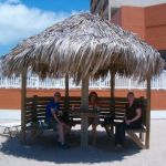 Shaded Lunch!