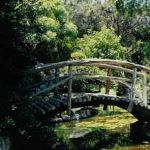 The bridge in the Japanese Gardens, Austin, Texas