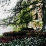 Flowers on the River walk, San Antonio, Texas
