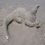 Sand dragon!