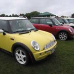 Bessie and many MINI friends!