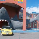 Shark Attack! Shark Attack!