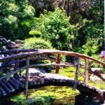 The following photos are from Austin, Texas.