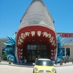 Genetic Mutant Sea Monster Shark Attack! Genetic Mutant Sea Monster Shark Attack!