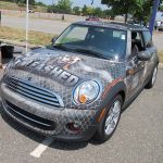Bulldog MINI. Bulldog MINI.