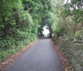 A perfect example of Isle of Man roads - very narrow and lined with stone fences A perfect example of Isle of Man roads - very narrow and lined with stone fences