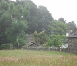 In the center, palm trees In the center, palm trees