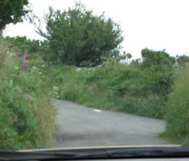 Another example of Isle of Man Roads - Over grown fences crowding the narrow roads Another example of Isle of Man Roads - Over grown fences crowding the narrow roads