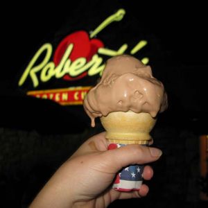 Chocolate custard. Still warm enough to be melting really fast.