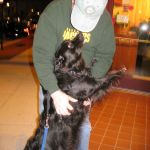Tosh! She came along but didn't get to have much attention. Tosh! She came along but didn't get to have much attention.