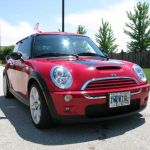 Ladybug from Wyoming joins our group.