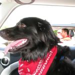 Tosh takes on the duties of co-pilot.