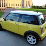 Bessie at the Nelson-Atkins Museum