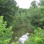 A view from a suspension bridge