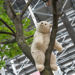 A bear in a tree! He was gone later on. A bear in a tree! He was gone later on.