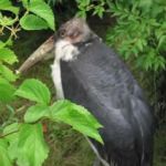 IMG_0646