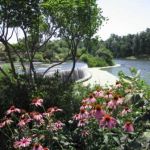The Monet inspired island water garden