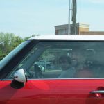 There's a familiar face! There's a familiar face!