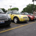 Bessie with some old and new friends!