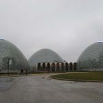 What to do next on a rainy December day in Wisconsin? To the Domes! The Mitchell Park Domes to be specific, in case you're not familiar with the area. Everyone around here knows just what you mean when you say "the Domes". What to do next on a rainy December day in Wisconsin? To the Domes! The Mitchell Park Domes to be specific, in case you're not familiar with the area. Everyone around here knows just what you mean when you say "the Domes".