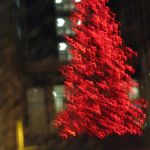 Zipping past the lights on our way to our next adventure. Zipping past the lights on our way to our next adventure.