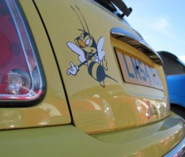 IMG_2902.jpg