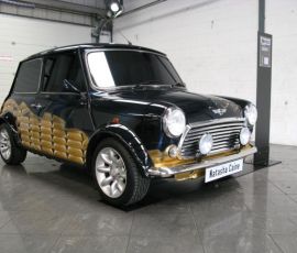 Natasha Caine Mini