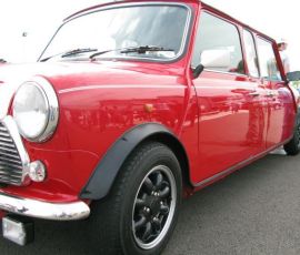 Double Ended Mini