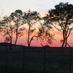 Serengeti? No, just the Waukesha airport.