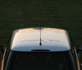 IMG_3173.jpg