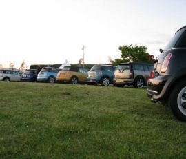 IMG_3178.jpg