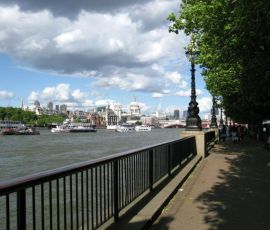 IMG_3655.jpg