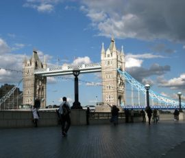 IMG_3729.jpg