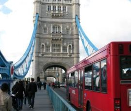 IMG_3732.jpg