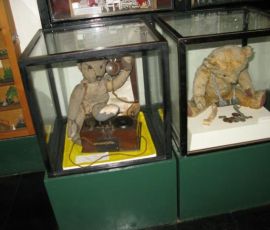 IMG_3873.jpg