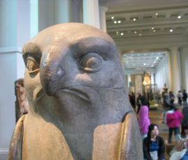 IMG_3950.jpg